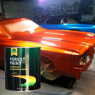 China Professional Automotive Car Paint Colors Manufacturer High Gloss Auto Car Refinish Clear Coat Car Paint